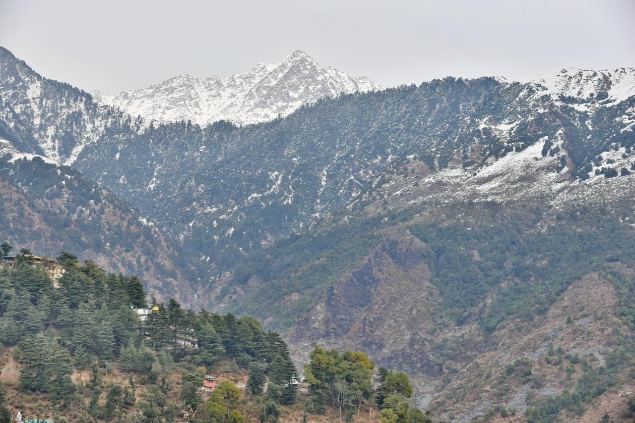 Hotel Akash - Luxury Hotel In Mcleodganj McLeod Ganj Exteriér fotografie